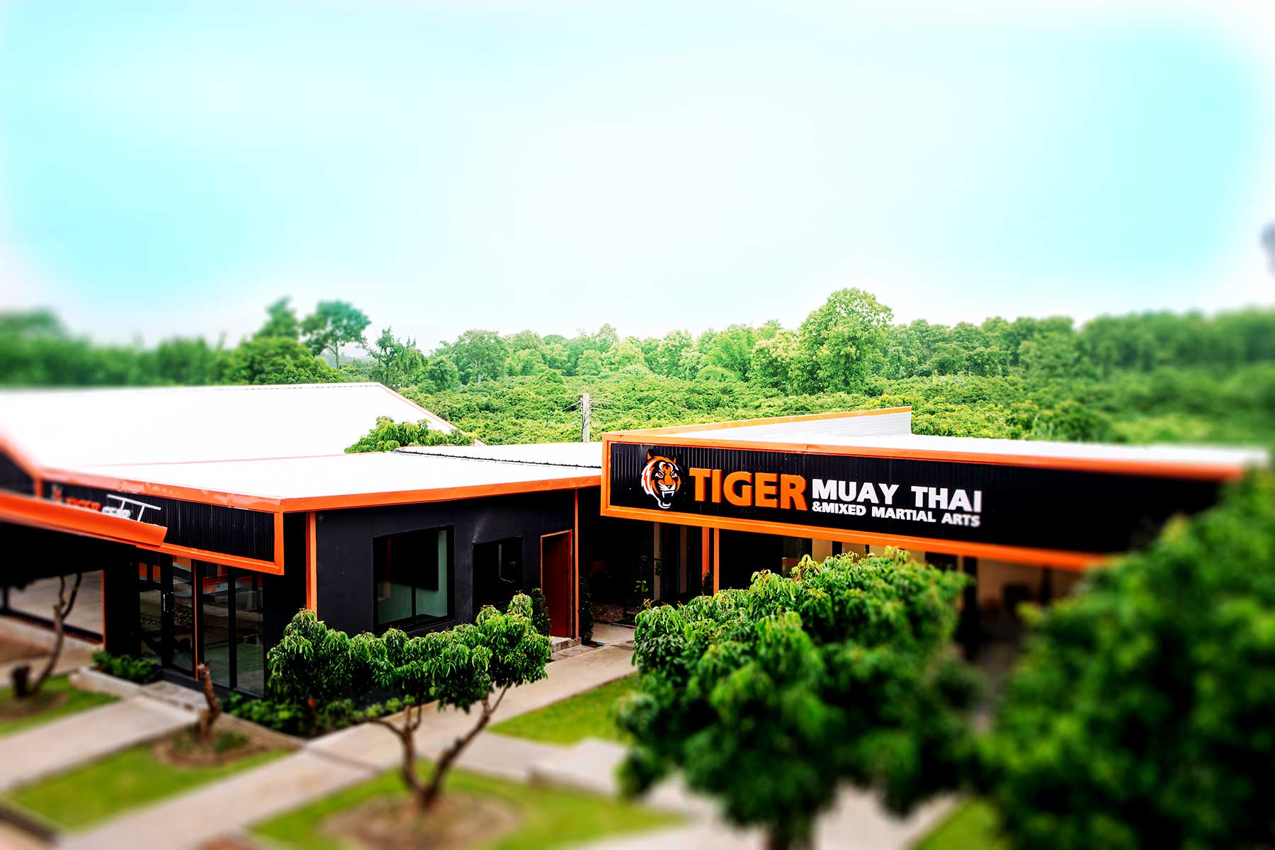 phuket-town - Tiger Muay Thai & MMA Training Camp, Phuket, Thailand